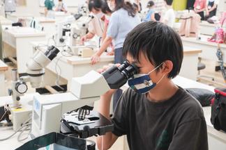 真剣に顕微鏡を観察する子どもたち