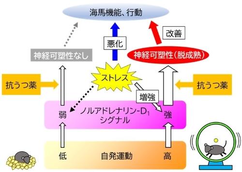 図3