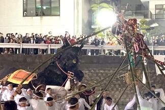 大馬は突進します