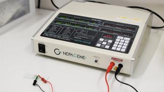 受精卵に電気で遺伝子を導入する機器