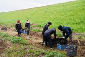 「農地の復旧作業」(畑の土に埋もれたシートを剥がし、再び農作物を育てられる環境にする作業)
