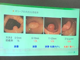 講演会の様子