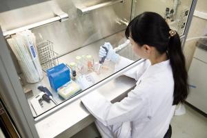 文部科学省 平成29年度 「私立大学研究ブランディング事業」に採択