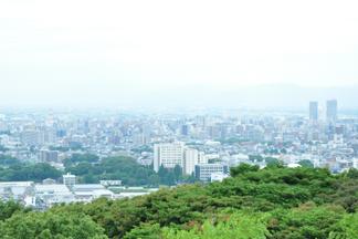 関係者の皆さんが竹を伐採しているおかげで、御井キャンパスを望むことができます