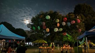 ライトアップで公園は昼間とは違った印象に