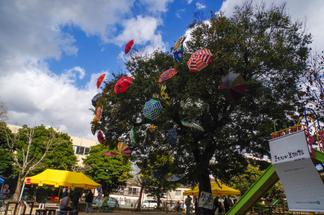 木に飾りつけられた傘のアート作品