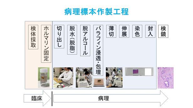 工程図