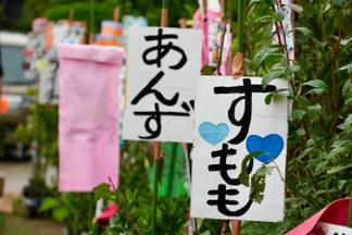 田主丸の特色の一つである植木・苗木の生産についても調査しました