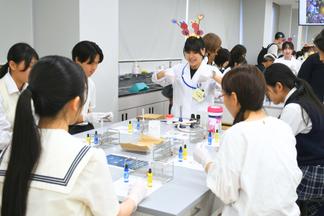血液型を判定して検査の仕組みを学ぼう