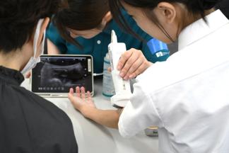 あなたの知らない体内の世界「エコー体験」