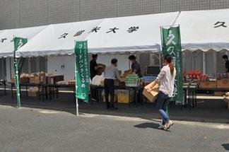 取れたての新鮮な野菜もたくさんご提供いただきました