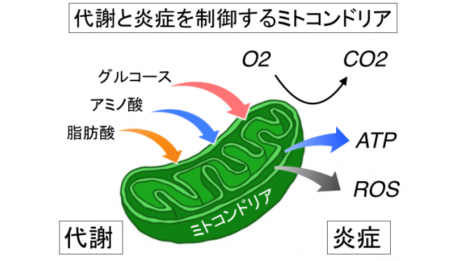 図