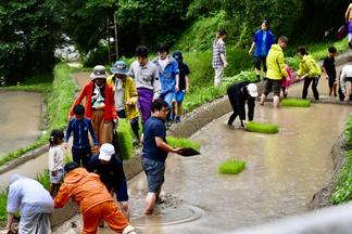 田植えの準備をする参加者