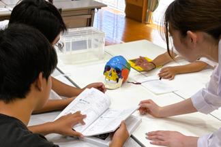 脳の部位と役割について説明