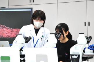 血液標本観察