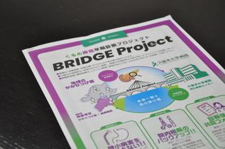 プロジェクトの普及のために作成したチラシ