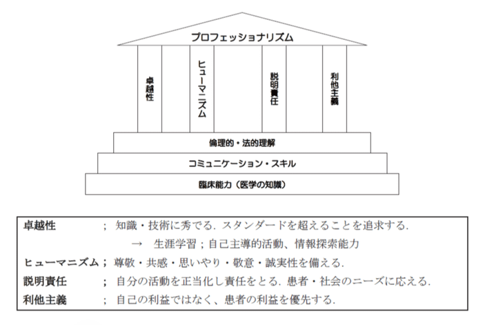 Arnold とStern によるプロフェッショナリズムの概念図