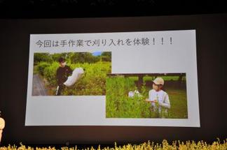 マートル・プロジェクトの紹介