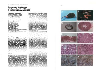 留学翌年の1993年にCellに掲載された論文