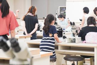 真剣に顕微鏡を観察する子どもたち
