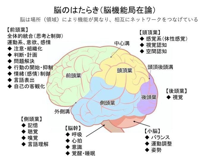 脳が起きるまでの時間 | 起床後 脳が目覚める時間 – YLST