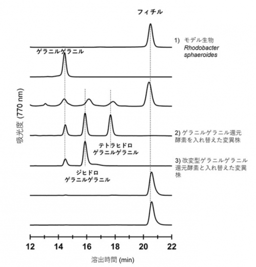 図3 高速液体クロマトグラフィーによる色素組成分析
