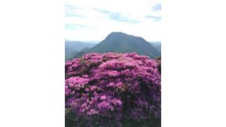 鶴見岳山頂から由布岳を望む