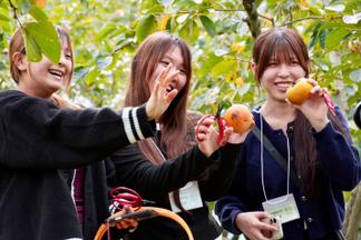 柿狩りを楽しみ、笑顔を見せる学生たち