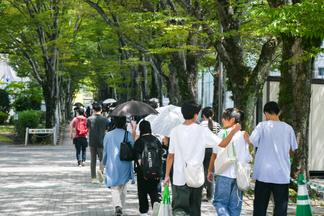 御井キャンパスのシンボル「欅並木」