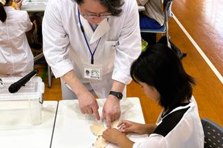 頭蓋骨ペーパークラフトを組み立て