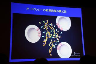 講義の様子