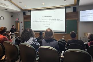 ブラウン大学での研究発表