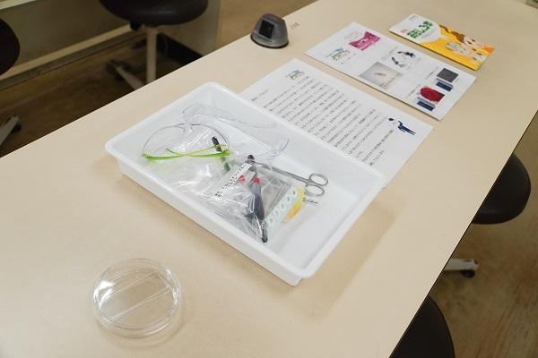 今回のワークショップに使った実験道具