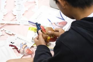 心臓の実物大模型を観察する様子