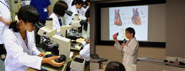 独立行政法人日本学術振興会の「ひらめき☆ときめきサイエンス推進賞」を受賞した高校生向けに行っている研究体験