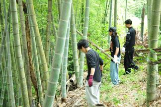 竹林に入り作業を行う学生たち