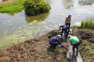 池への水路を確保