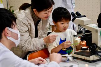 顕微鏡で植物や自分の皮膚の組織を観察