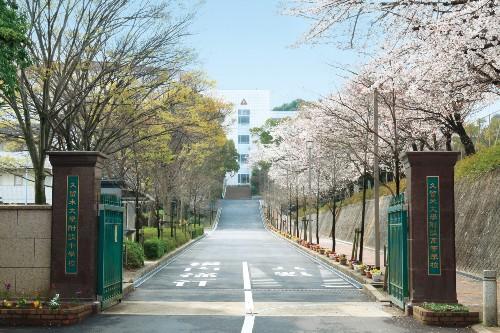 2021年度大学入試 医学部合格者高校別ランキングで久留米大附設高等学校が全国2位に
