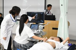超音波を使って臓器の動きを見てみよう