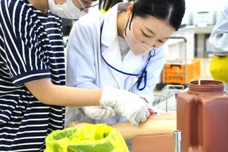 実際の採血針を使用した模擬採血