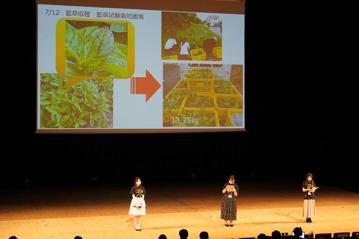 「藍プロジェクト」について発表する学生