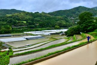 八女市黒木町笠原地区の棚田