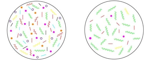 正常な腸内フローラ(左)と病的状態(右)