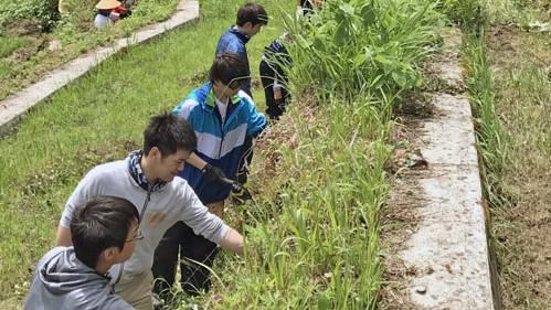 「あさくら祭り」で学生がボランティア活動