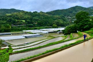 八女市黒木町笠原地区の棚田