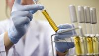 「世界で最も影響力のある研究者トップ２%」に本学研究者がランクイン