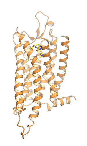 グレリン受容体の立体構造