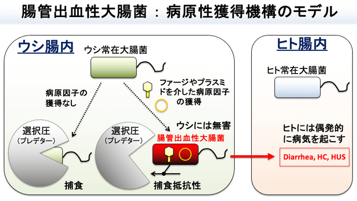図1