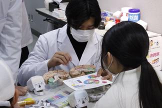 脳の部位と役割について説明